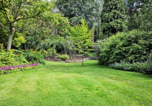 Optimiser l'expérience du jardin à Vigneux-sur-Seine